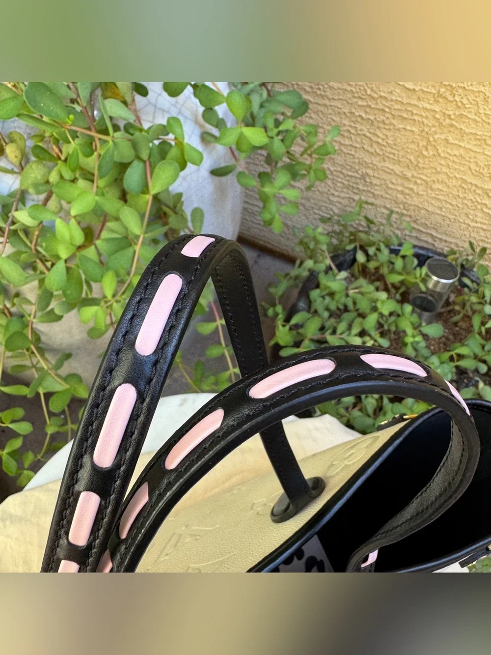 Louis Vuitton Wild at Heart Neverfull MM